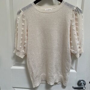 Light Sweater with Swiss Dot Sleeves (EUC)